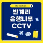 반계리 은행나무 CCTV 