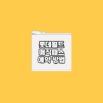롯데월드 매직패스 예약