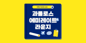브라질 상파울루 과룰로스공항