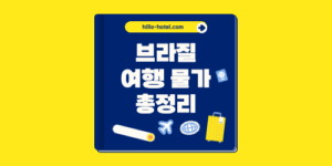 브라질 여행 물가