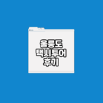 울릉도 택시투어 후기