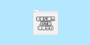 울릉도배편 시간표