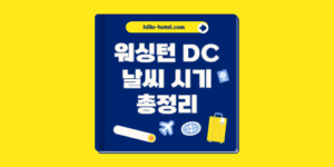 워싱턴 DC 날씨
